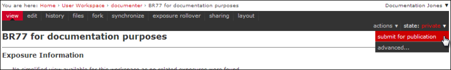 ../_images/PMR-submitworkspaceforpublication.png